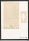 Gomphonema herculeanum Ehr. (de-Toni-Nr.: Genus 37, Species 1724) Zeichnungen Sammlung Grunow (NHMW-BOT-W0370857)